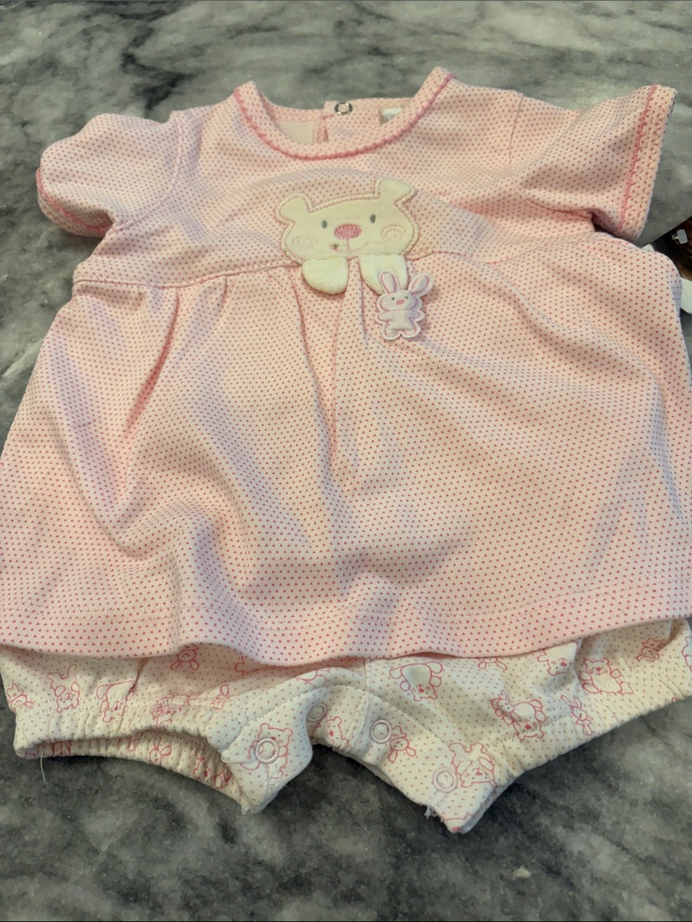 Absorba Pink Baby Girl Two-Piece Dress  Set